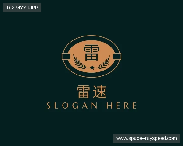 解读雷速部门